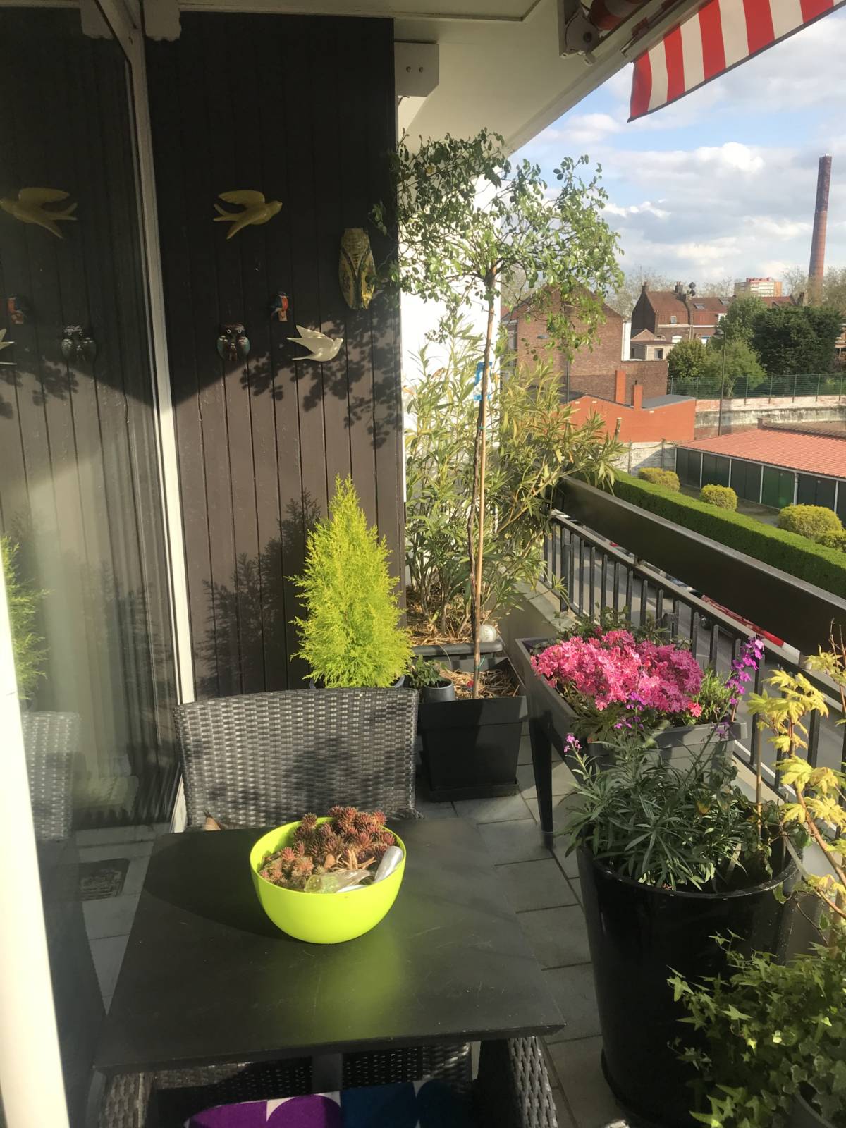 Annonce réf.1234 - photo 2