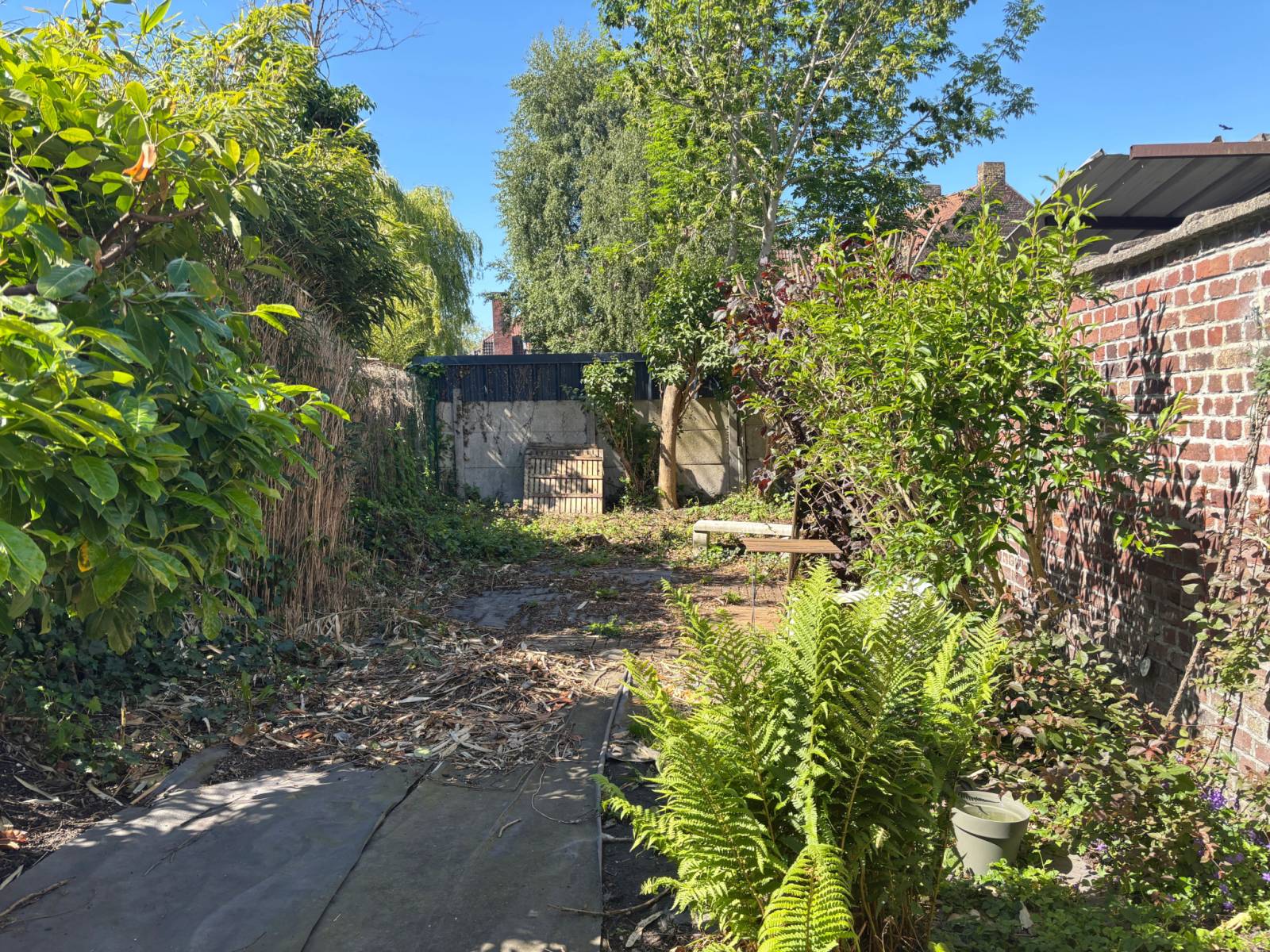 Annonce réf.1234 - photo 2